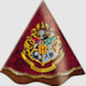 FESTCOLOR CHAPEU HARRY POTTER