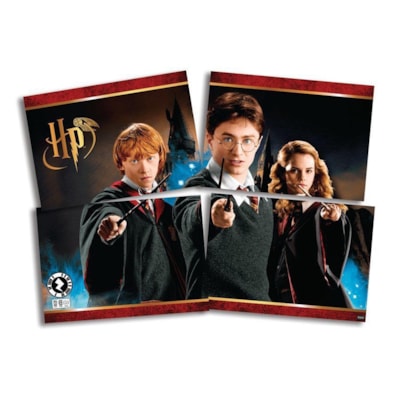 FESTCOLOR PAINEL 4 LAM HARRY POTTER