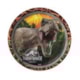 FESTCOLOR PRATO RD JURASSIC WORLD 3